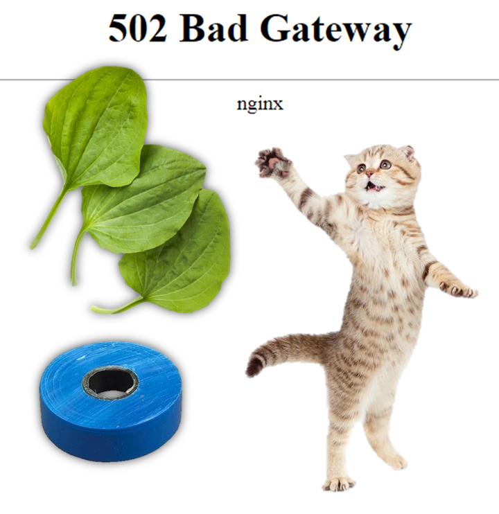 Peekaboo, don't get sick! - Error, Peekaboo, 502 Bad Gateway