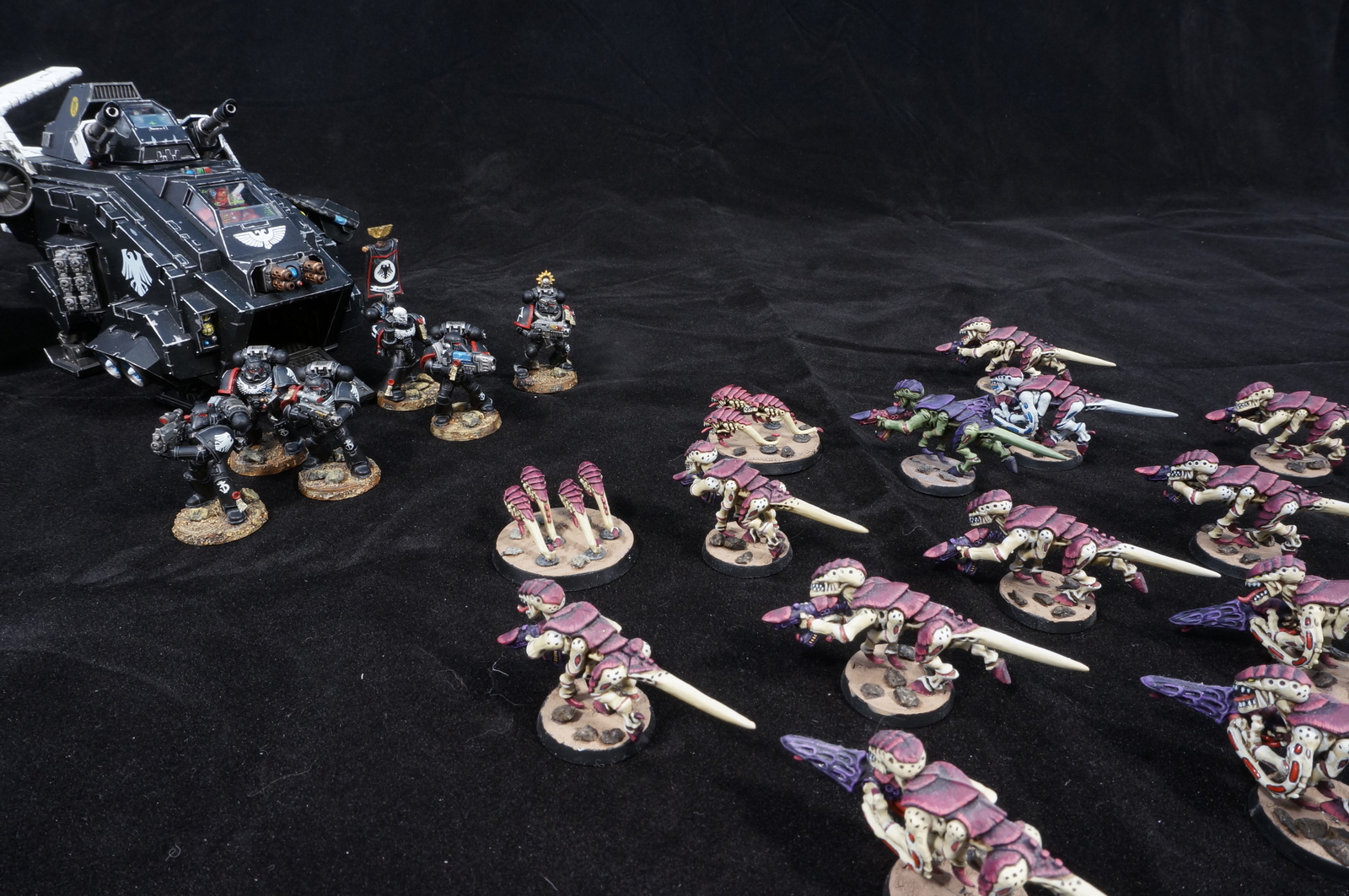 The crows are coming - My, Wh miniatures, Miniature, The photo, Raven guard, Tyranids, Longpost