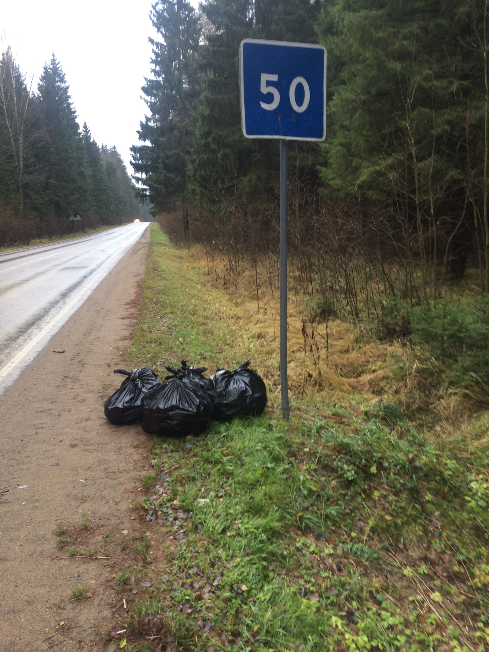 Mozhaisk forest - another week of cleaning. - My, Clean forest, Garbage, Chistoman, , Cleaning, Saturday clean-up, Longpost, Pure Man's League