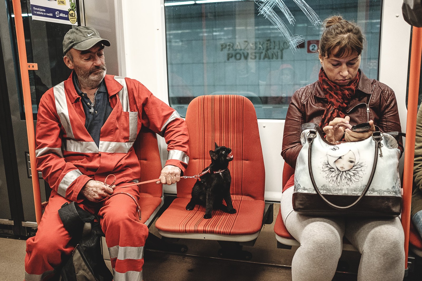 Unstoppable - cat, Metro, Milota