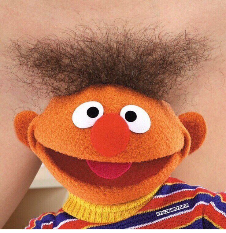 Ernie - NSFW, Bert and Ernie, Sesame street, Wig, Strawberry