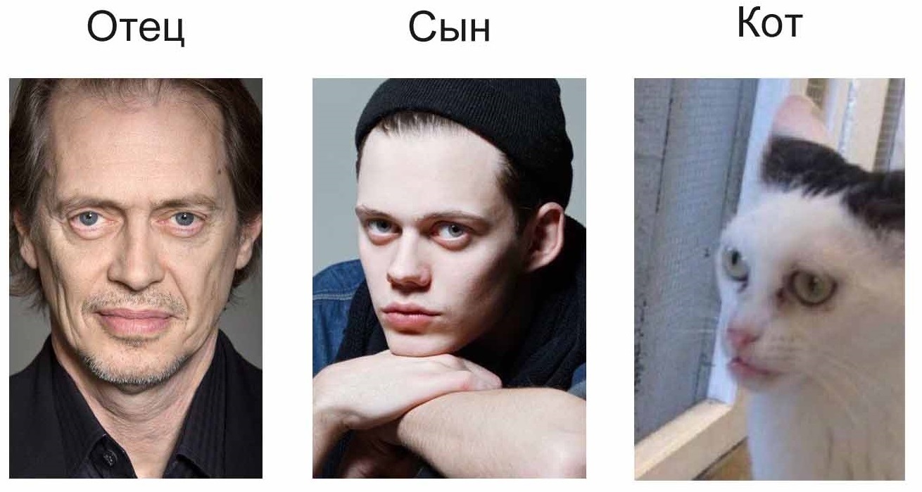 Семья Бушеми | Пикабу