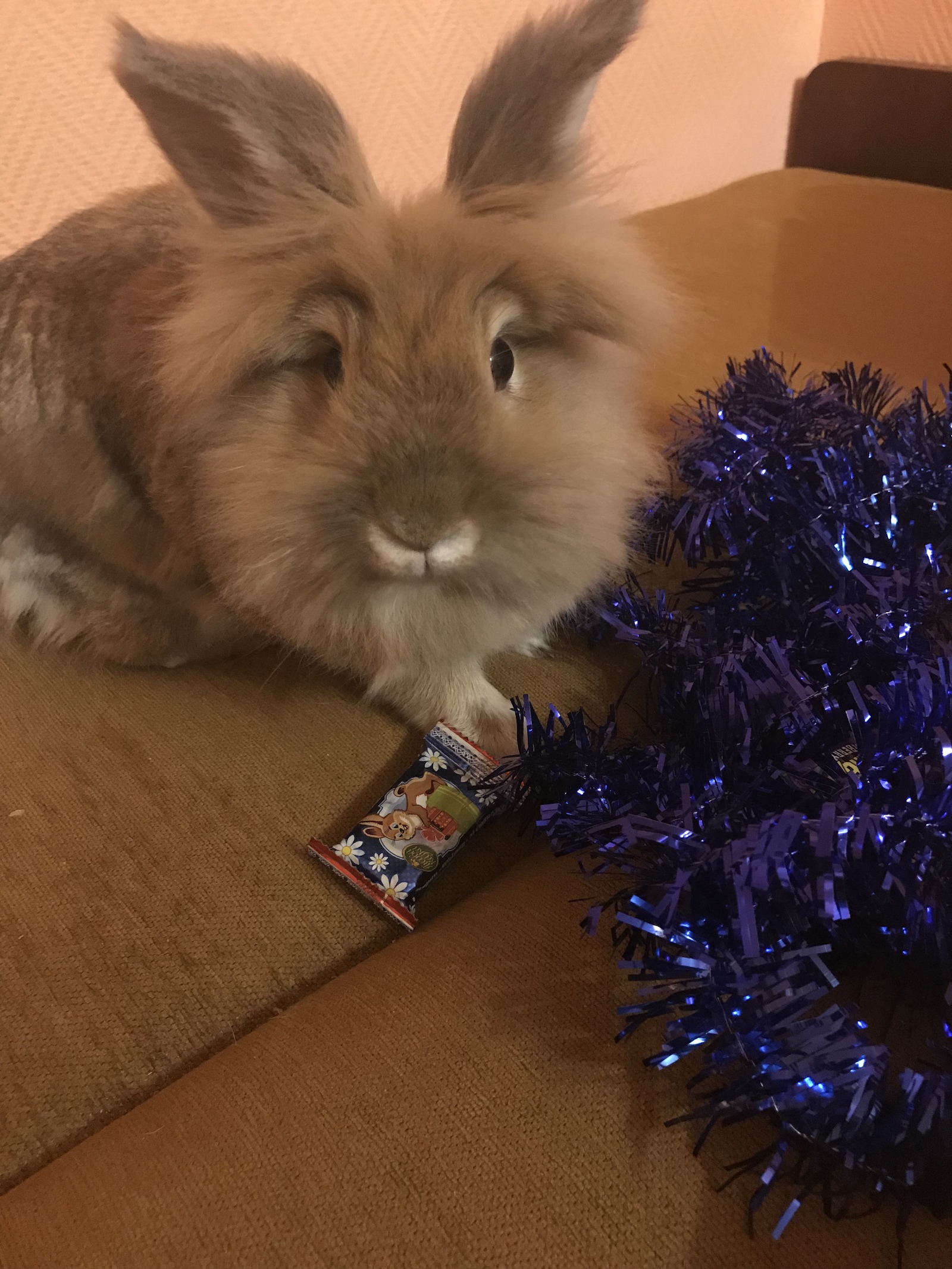 Santa Claus came twice - My, Secret Santa, Father Frost, New Year, Gift exchange, Rabbit, Longpost