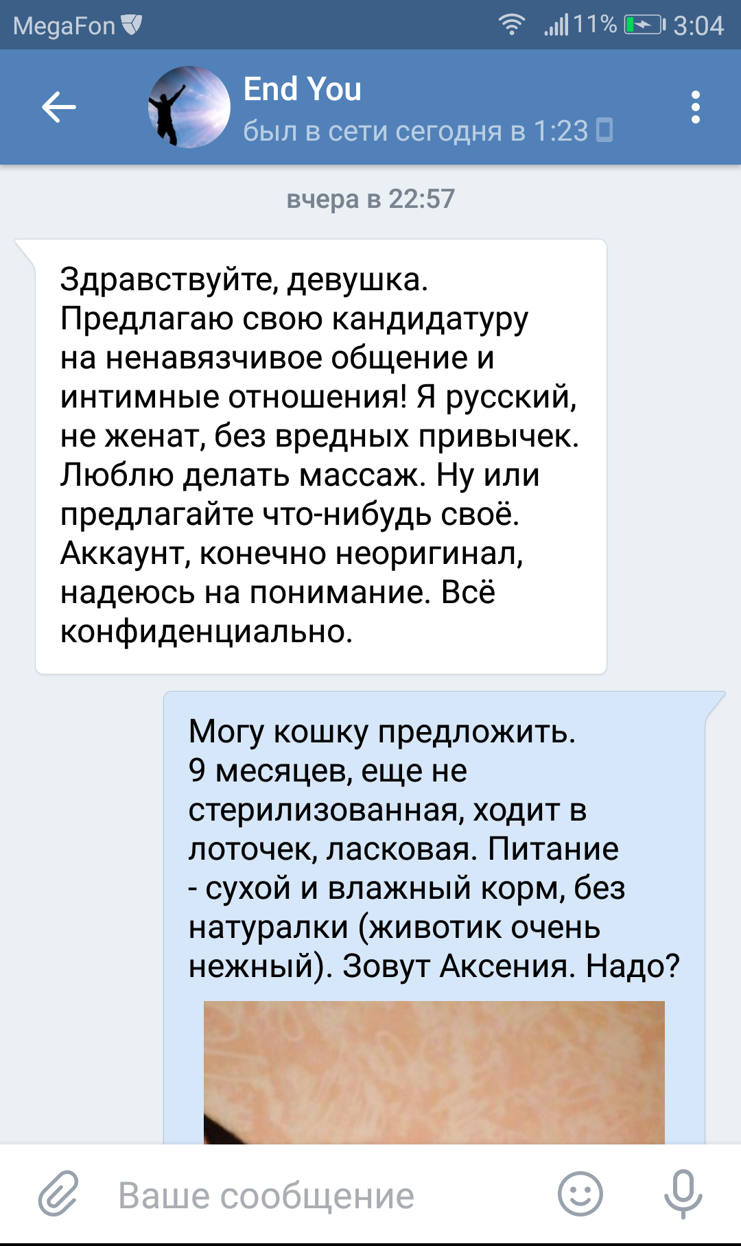 Предложить свое? Ок. - Моё, Сообщения, Переписка, Пикап, Кот, Длиннопост