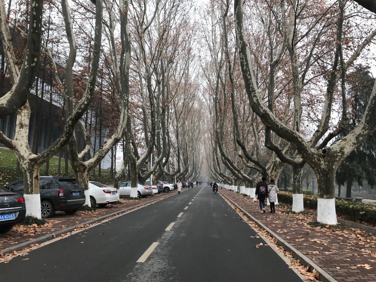 Погода в восточном Китае, город Нанкин - Моё, Китай, Погода, Длиннопост