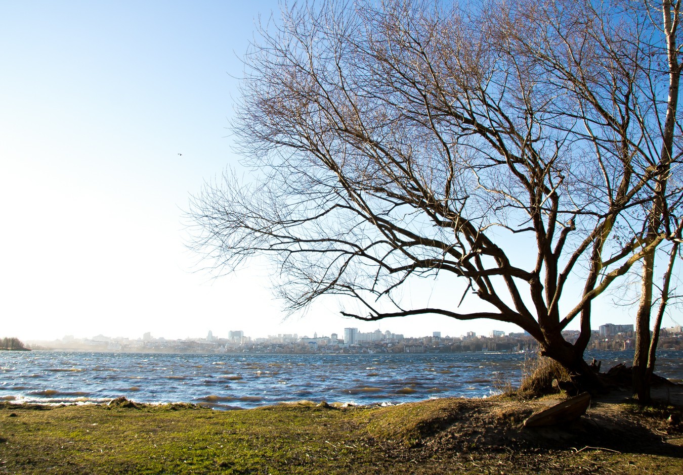 This is January in Voronezh - My, The photo, Voronezh, Reservoir, Longpost