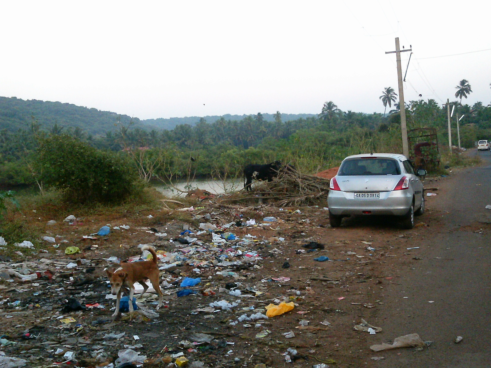 Beware Goa! Chapter 6 - My, Goa, India, Longpost