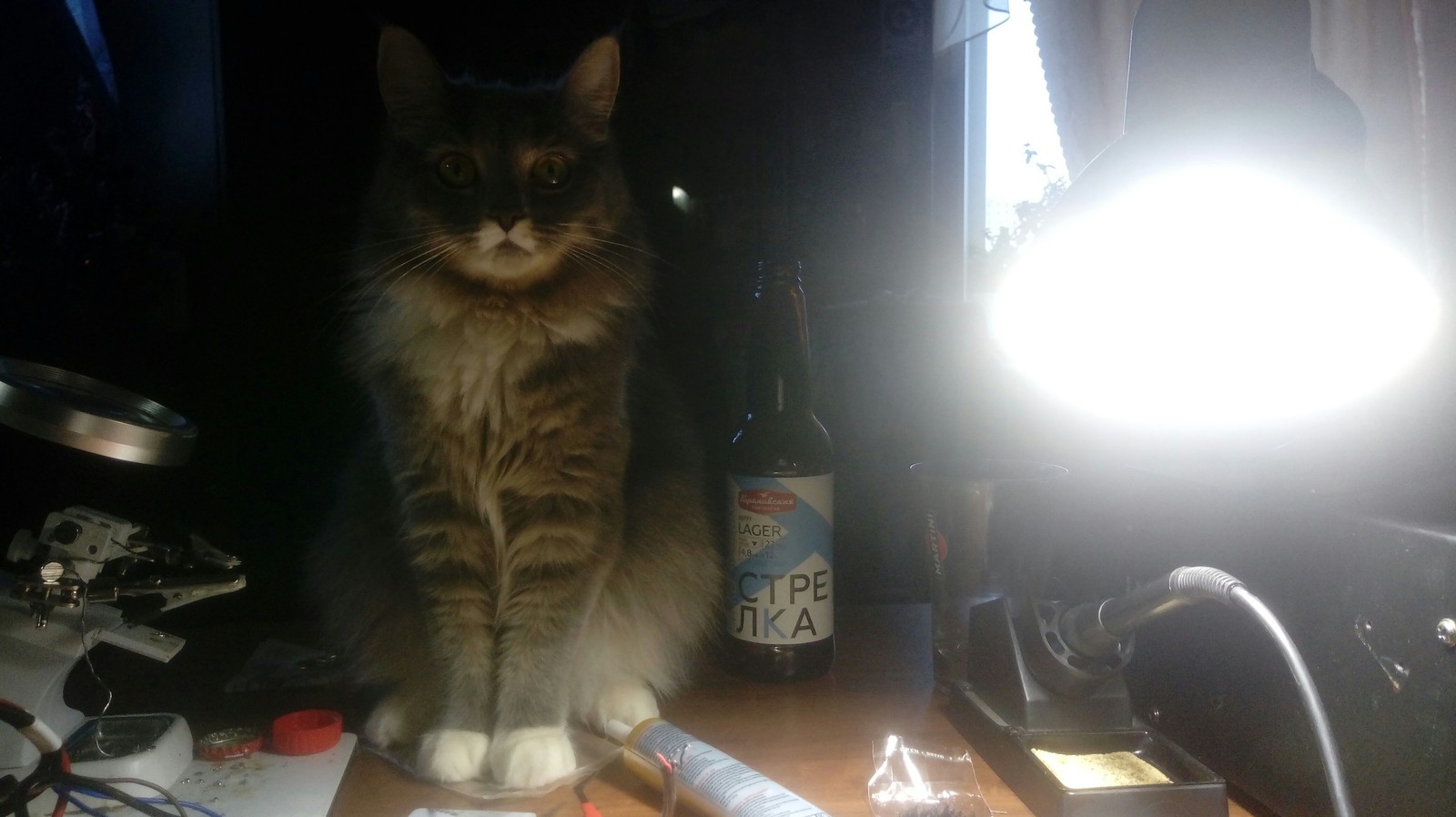 Slept bilyat - My, Cat with lamp, Soldering iron, Soldering Station, Third hand, Insomnia, Weekend, Longpost