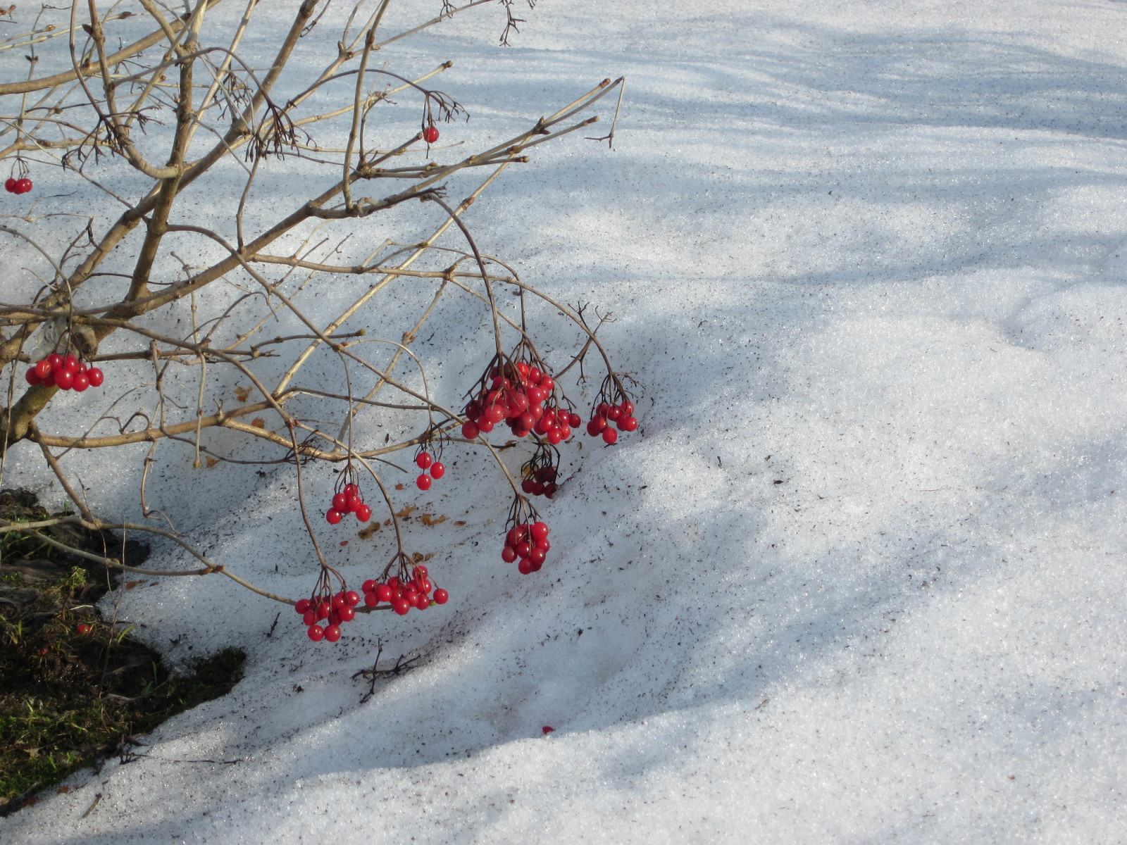 Assorted winter. - My, Retirees, , Longpost