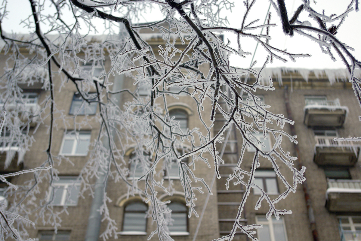 Зима в Питере. - Моё, Фотография, Санкт-Петербург, Московский район, Снег, Зима, Сосули, Иней, Длиннопост, Сосульки