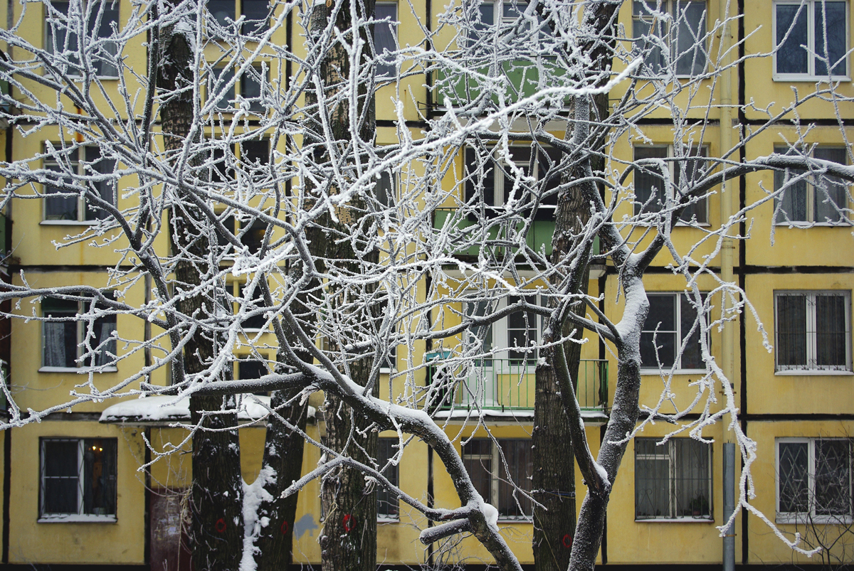 Зима в Питере. - Моё, Фотография, Санкт-Петербург, Московский район, Снег, Зима, Сосули, Иней, Длиннопост, Сосульки