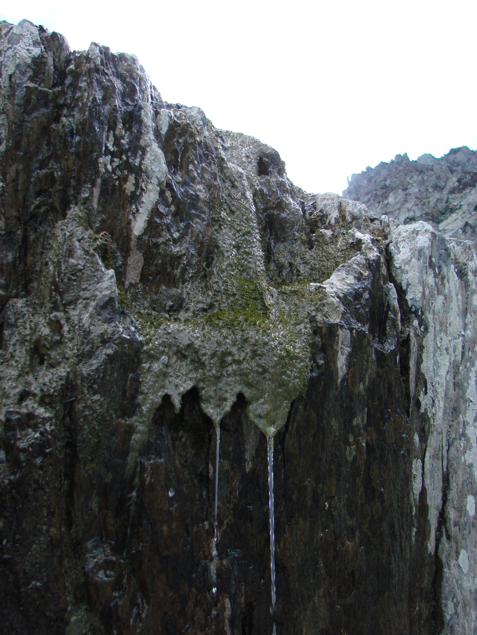 I like to watch life-7 (Hobby: mountains, Belukha, part 2) - My, A life, Mountaineering, Tourism and mountaineering, Mountain Altai, Longpost, Altai Republic