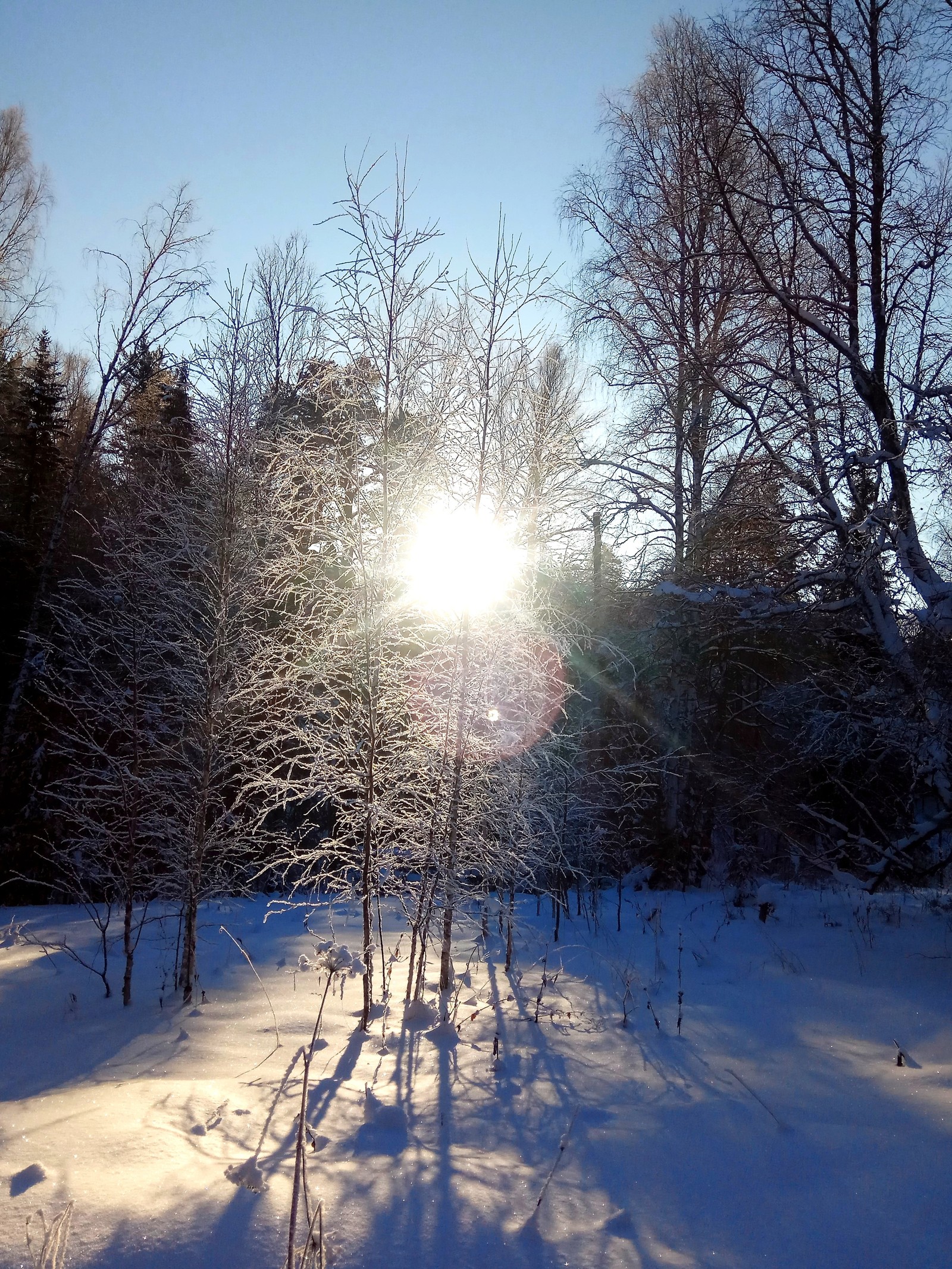 Deer streams - a snowy fairy tale. - My, Ural, deer streams, Winter, beauty, The photo, Video, Longpost