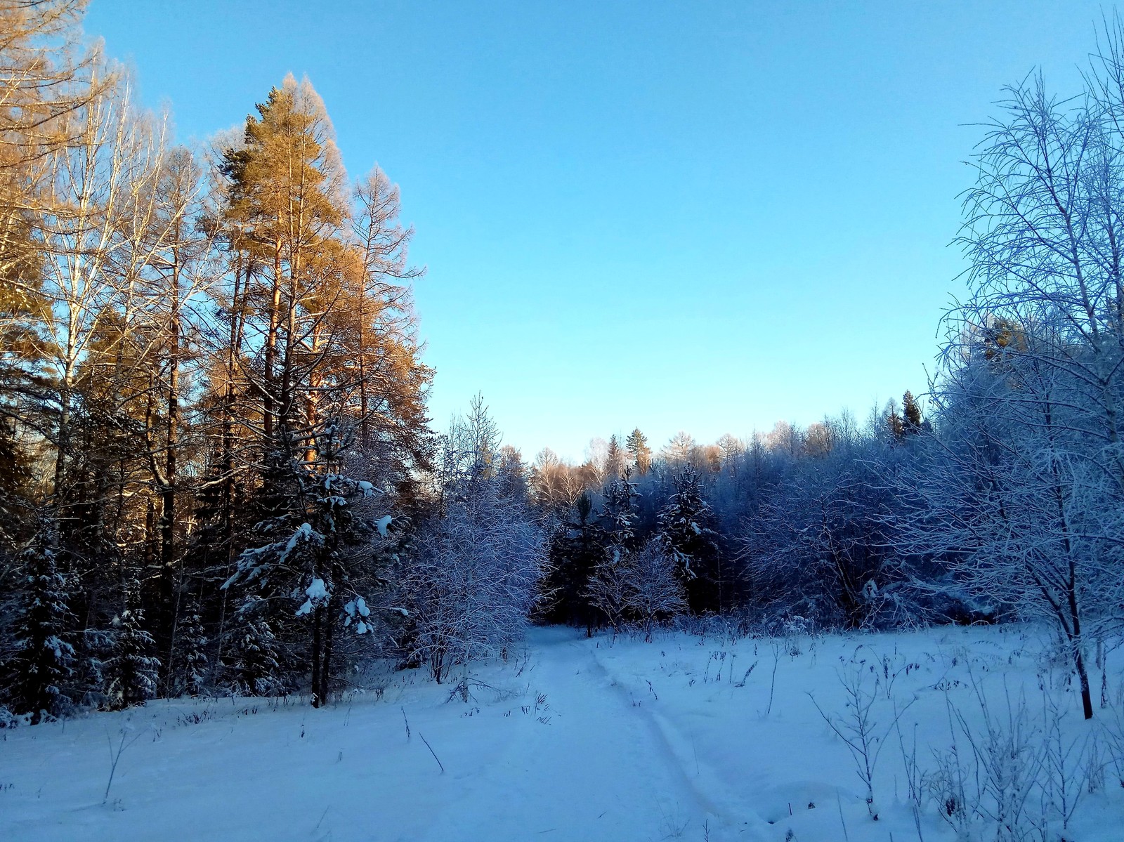 Deer streams - a snowy fairy tale. - My, Ural, deer streams, Winter, beauty, The photo, Video, Longpost