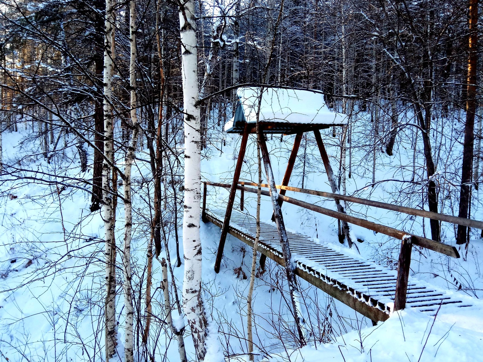 Deer streams - a snowy fairy tale. - My, Ural, deer streams, Winter, beauty, The photo, Video, Longpost