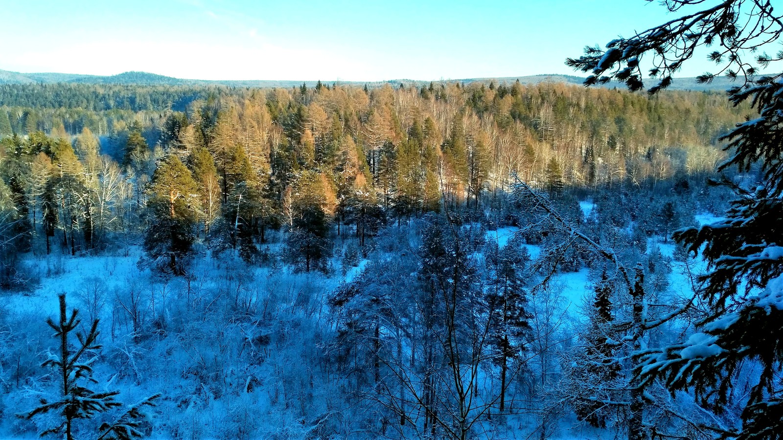 Deer streams - a snowy fairy tale. - My, Ural, deer streams, Winter, beauty, The photo, Video, Longpost