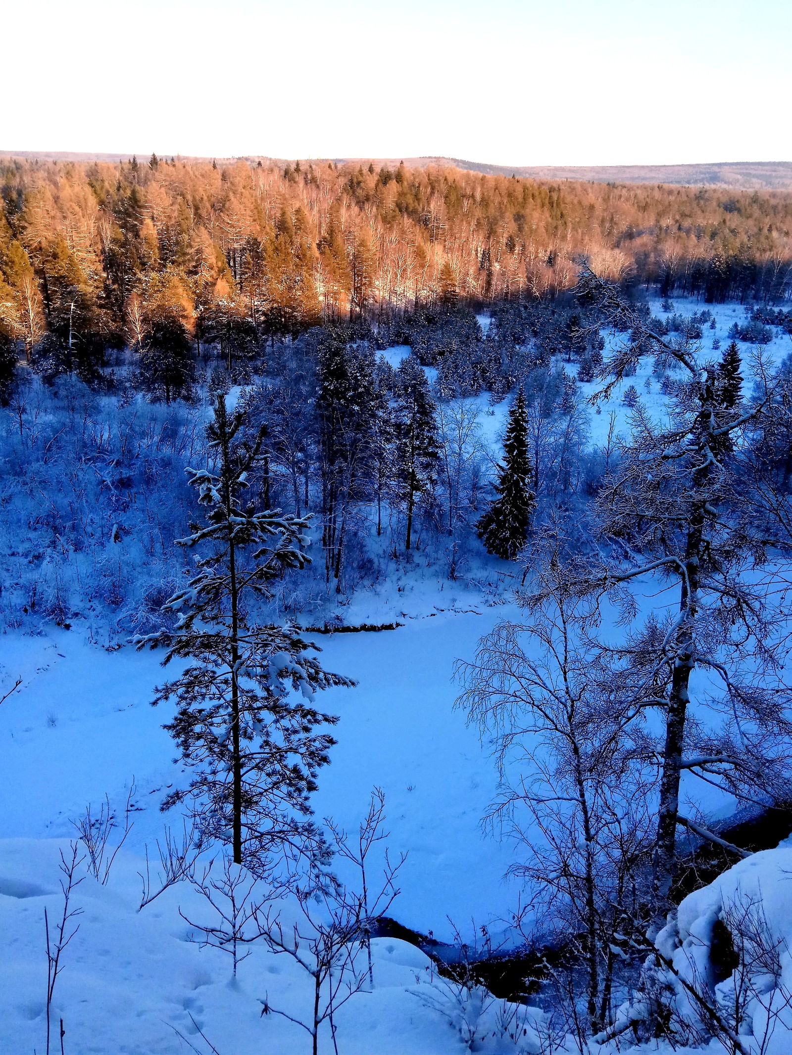 Deer streams - a snowy fairy tale. - My, Ural, deer streams, Winter, beauty, The photo, Video, Longpost