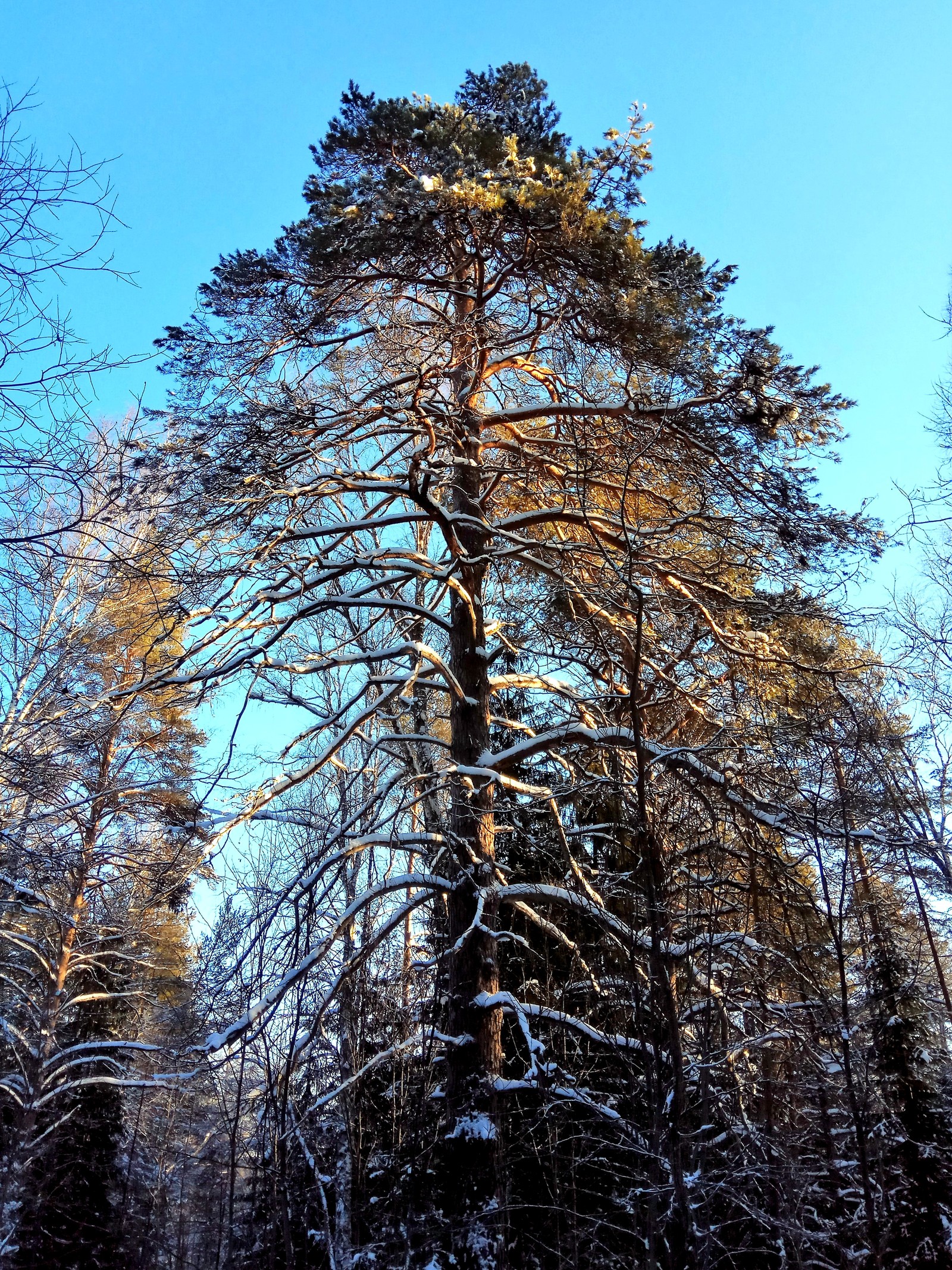 Оленьи ручьи - снежная сказка. - Моё, Урал, Оленьи ручьи, Зима, Красота, Фотография, Видео, Длиннопост