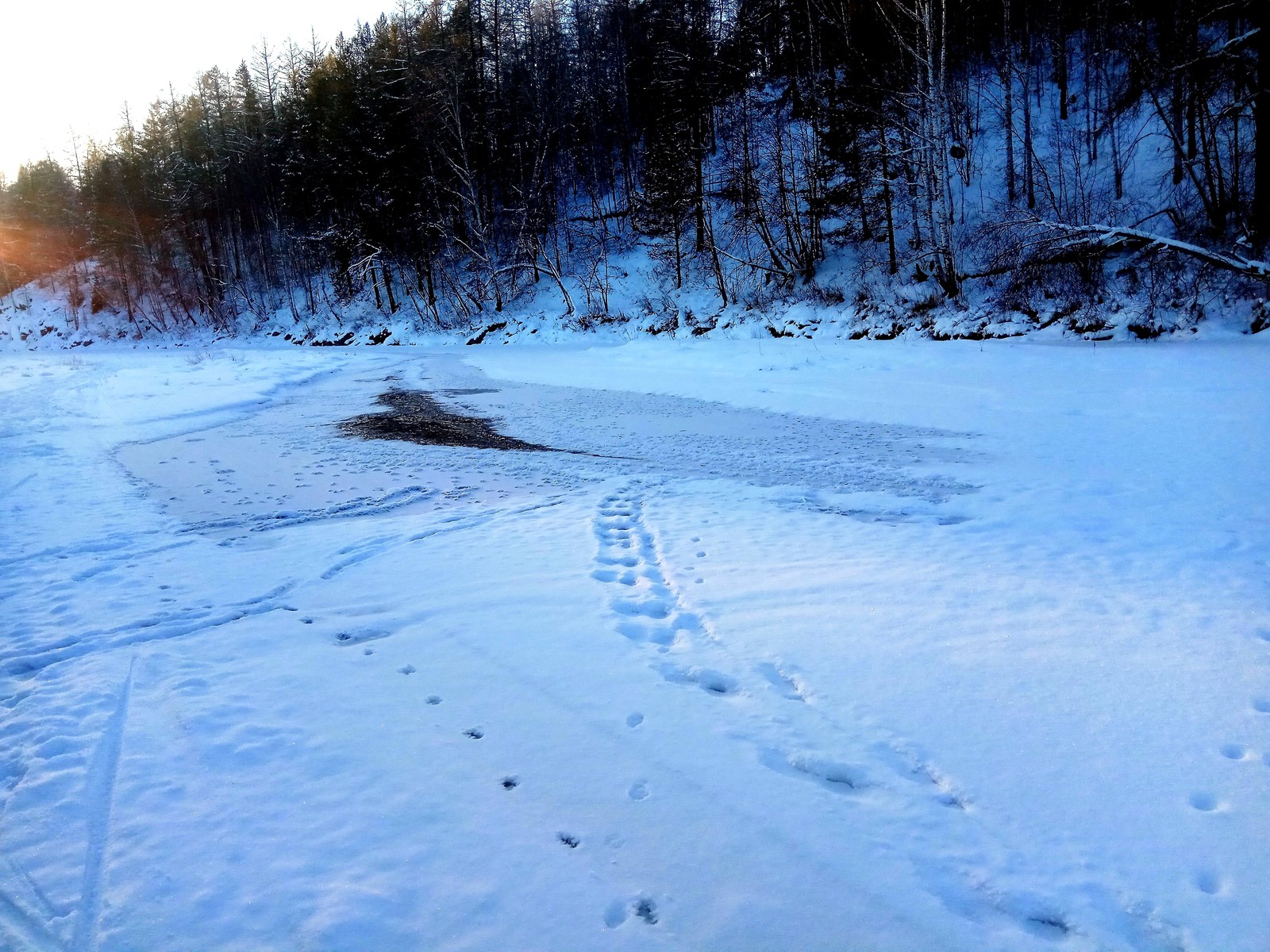 Deer streams - a snowy fairy tale. - My, Ural, deer streams, Winter, beauty, The photo, Video, Longpost