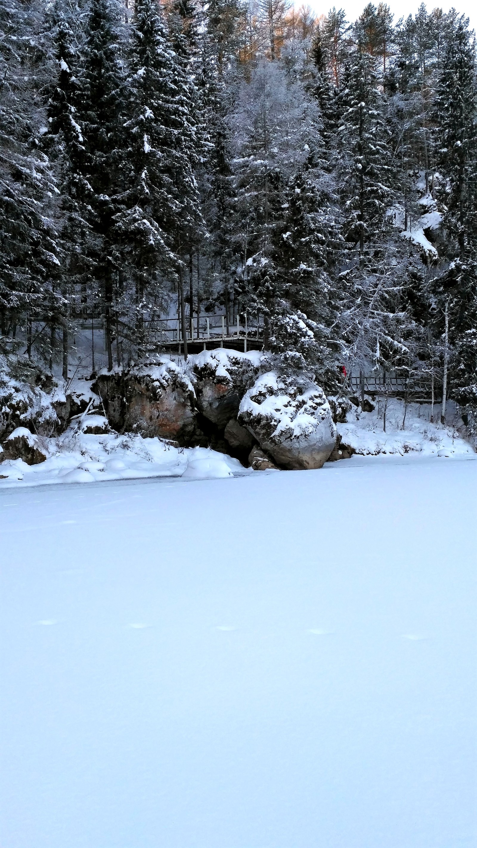 Deer streams - a snowy fairy tale. - My, Ural, deer streams, Winter, beauty, The photo, Video, Longpost