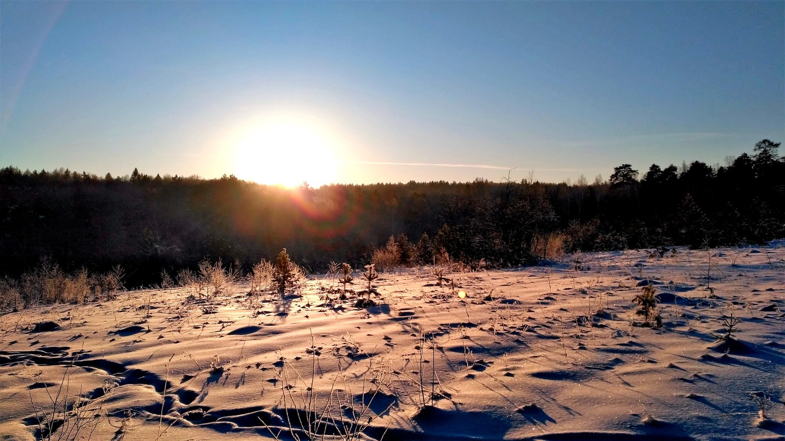 Deer streams - a snowy fairy tale. - My, Ural, deer streams, Winter, beauty, The photo, Video, Longpost