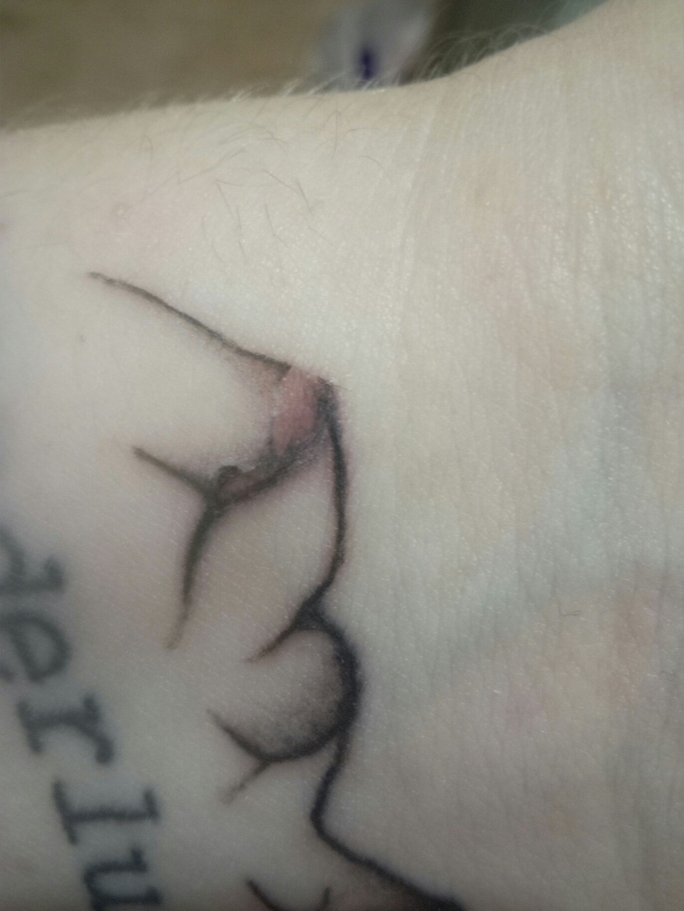 How stupid I decided to get a tattoo - My, Tattoo, Tattoo artist, Stupid, Longpost, Fools