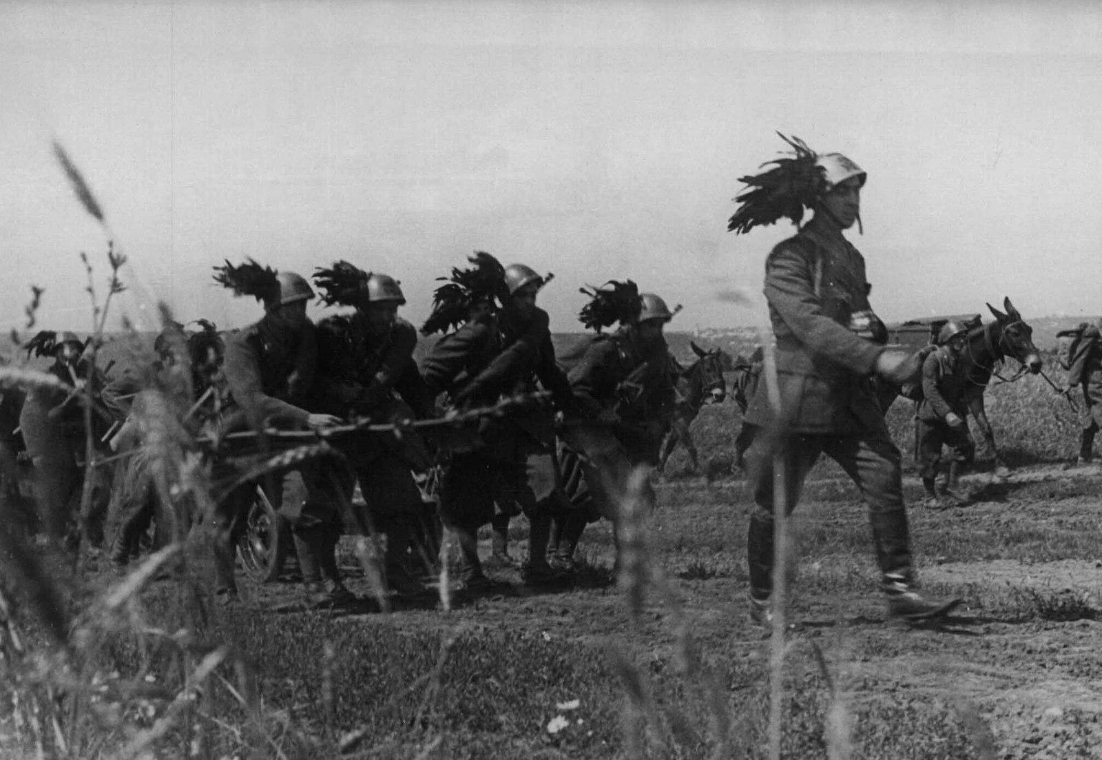 Italy - Italy, The Second World War, The Great Patriotic War, Longpost