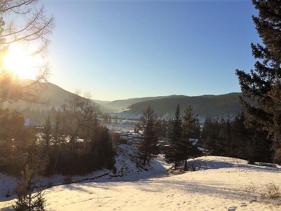 Walk around the native places. - My, Winter, Walk in the woods, Longpost