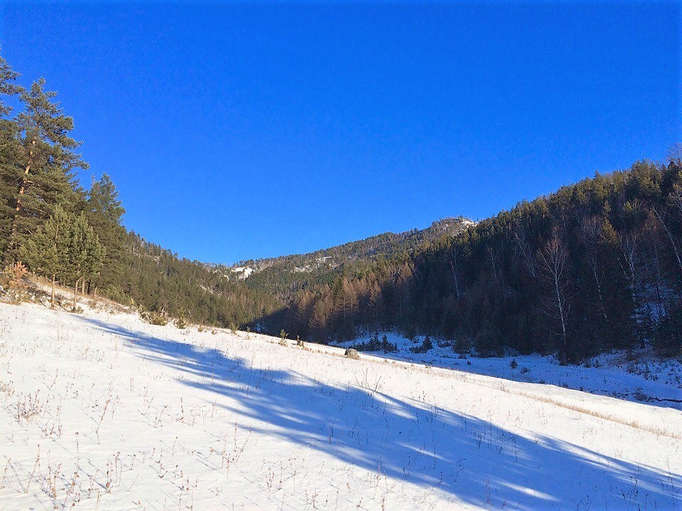 Walk around the native places. - My, Winter, Walk in the woods, Longpost