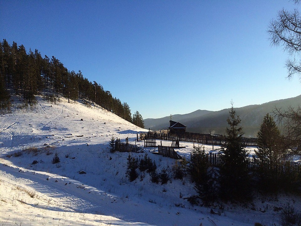 Walk around the native places. - My, Winter, Walk in the woods, Longpost