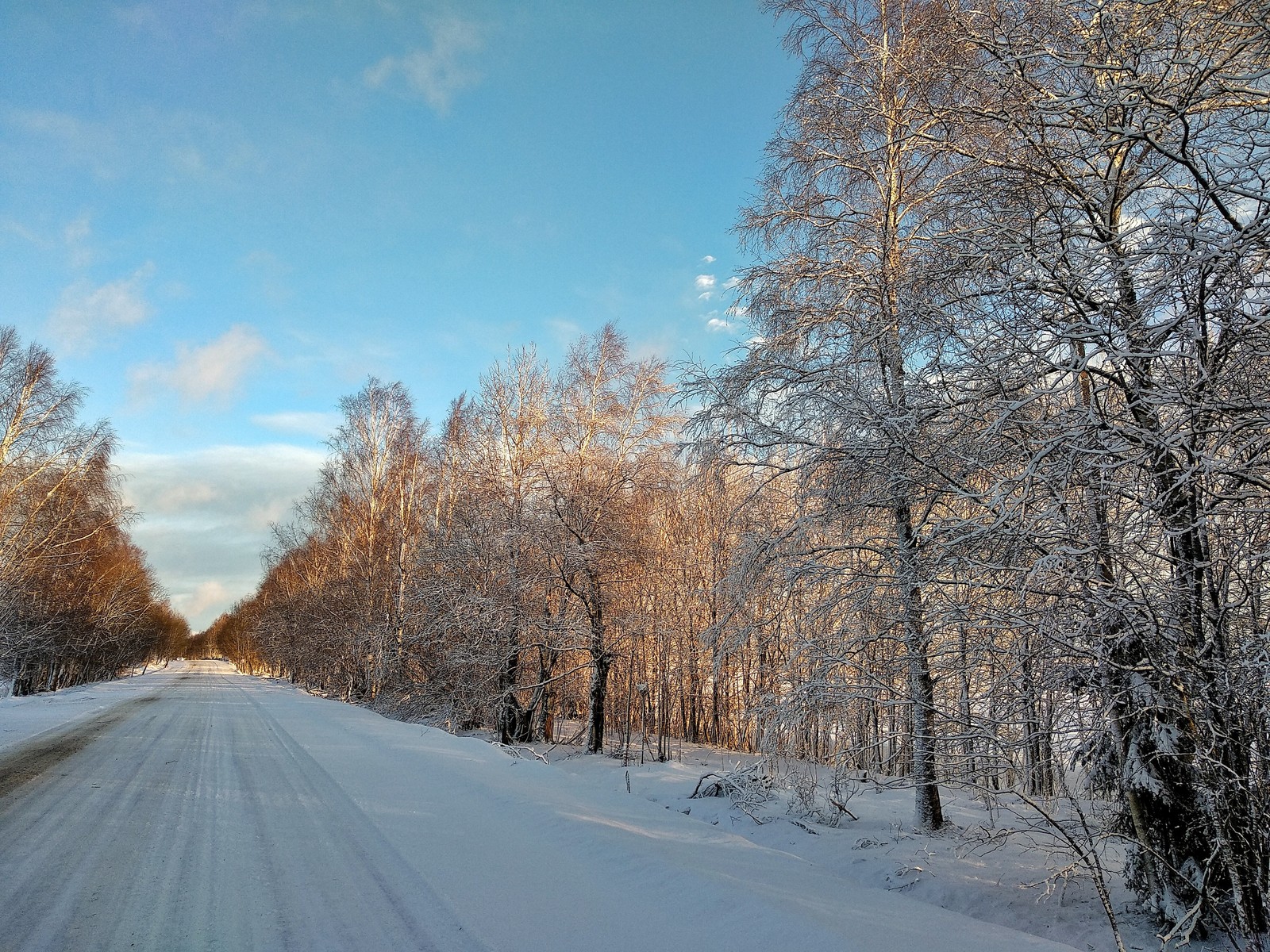 There was one sunny day in St. Petersburg, but I was sick. - My, The photo, Winter, beauty, Nature, Longpost