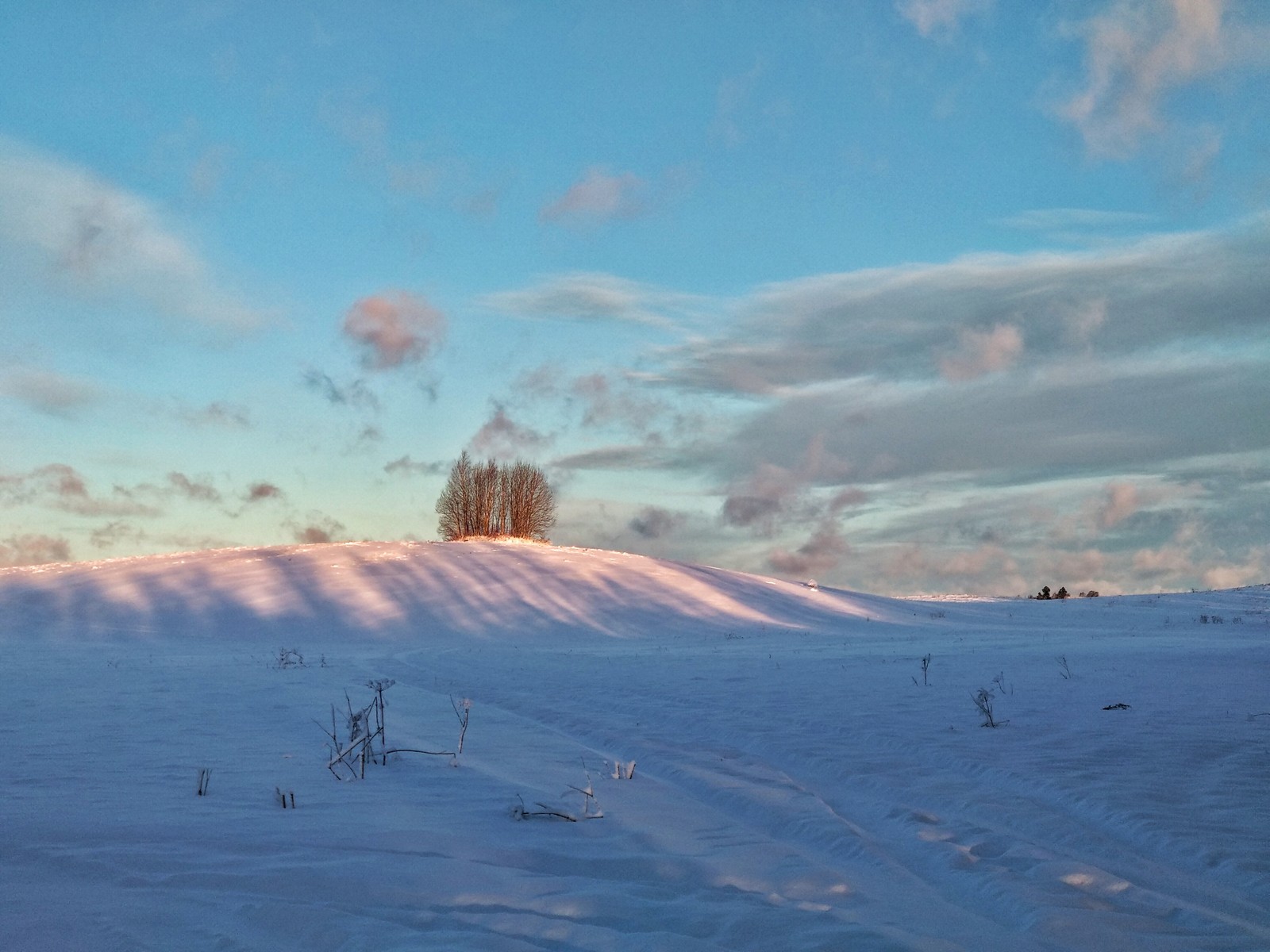 There was one sunny day in St. Petersburg, but I was sick. - My, The photo, Winter, beauty, Nature, Longpost