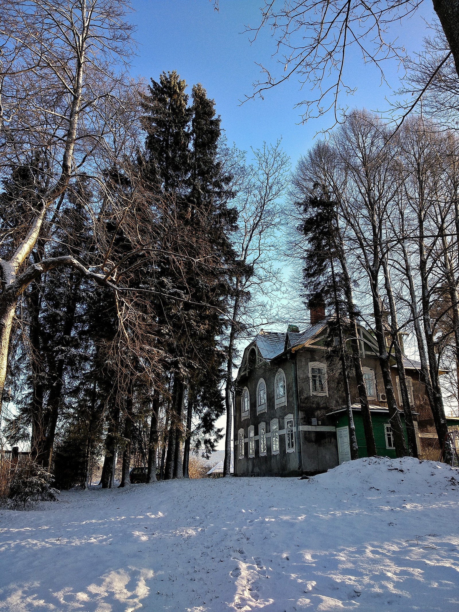 В Питере был один солнечный день, но я болел. - Моё, Фотография, Зима, Красота, Природа, Длиннопост