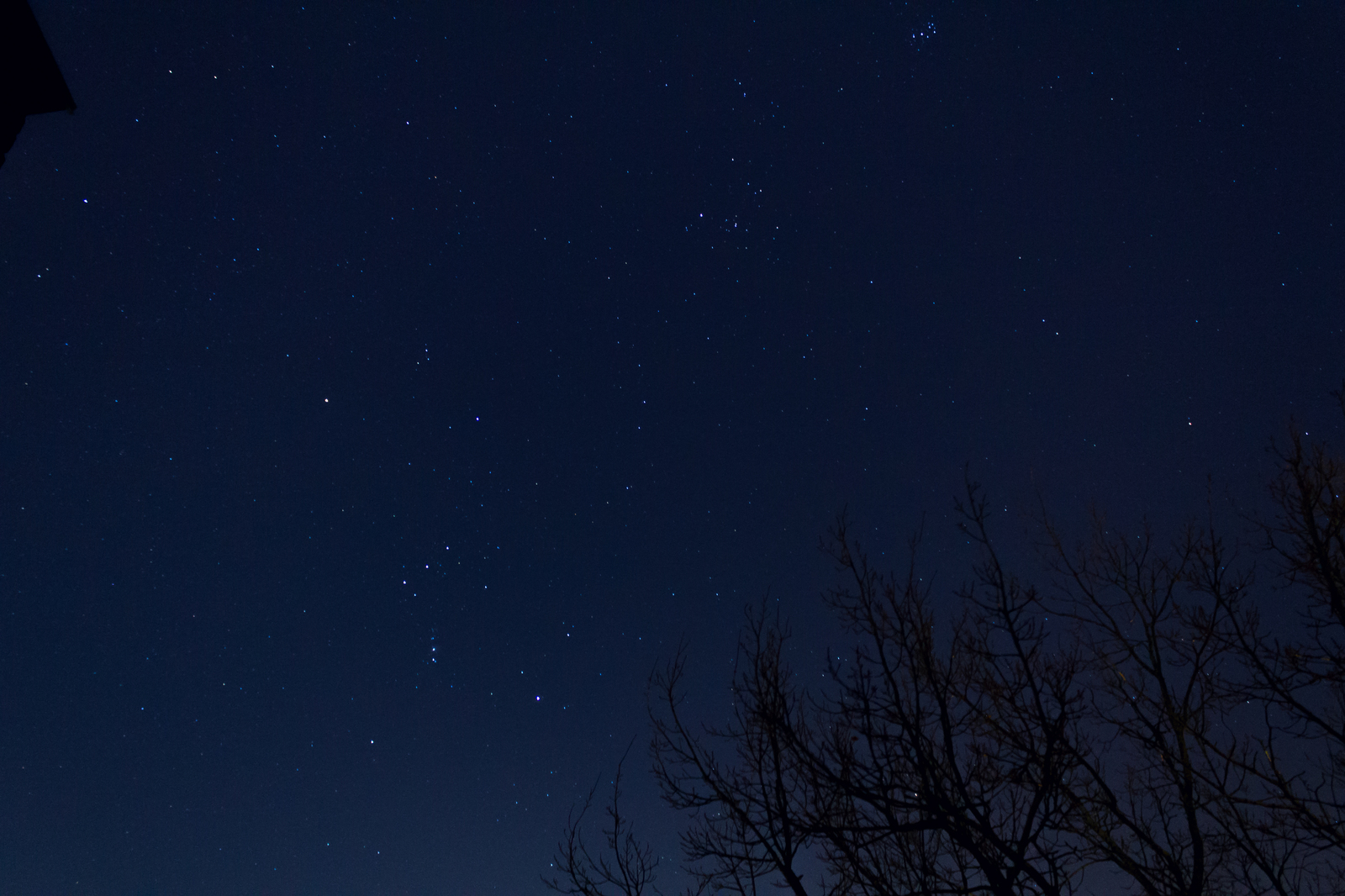 Starry sky - My, Beginning photographer, Canon EOS 550D, Astrophoto, Space, Pleiades, Orion, Constellation Taurus, My