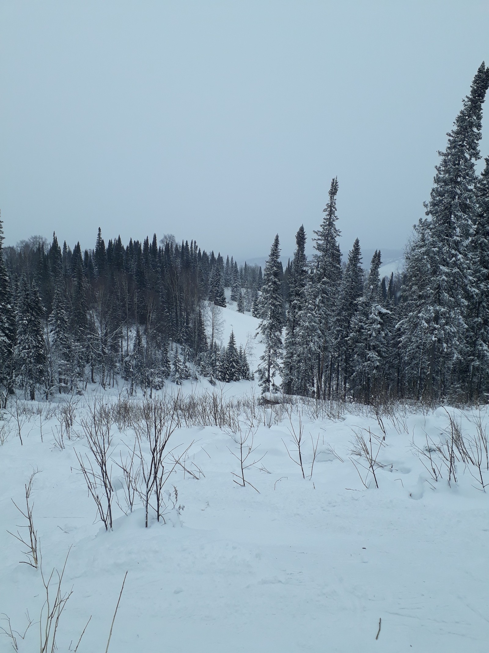 Mezhdurechensk - My, Winter, Lift, Longpost