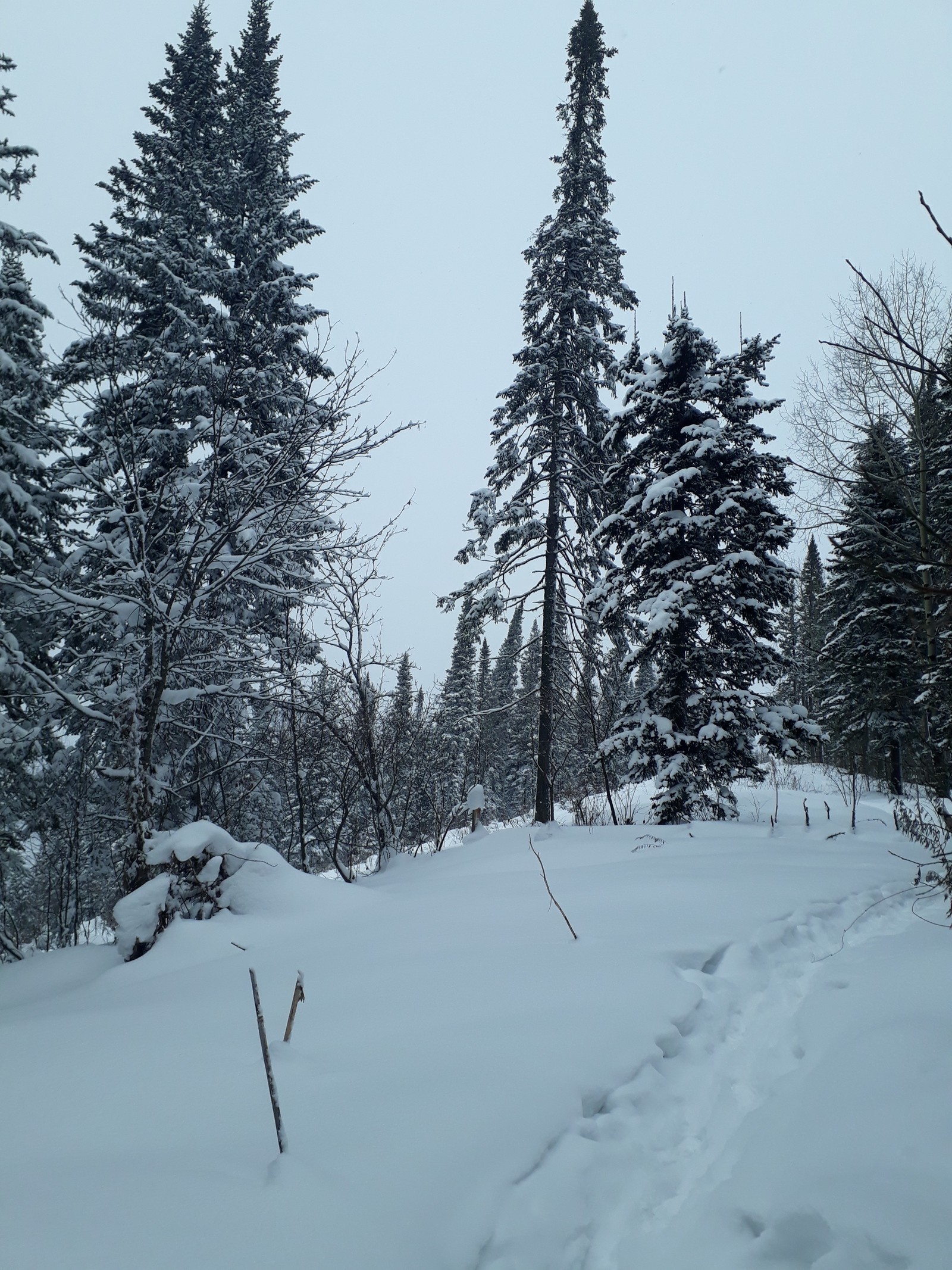 Mezhdurechensk - My, Winter, Lift, Longpost