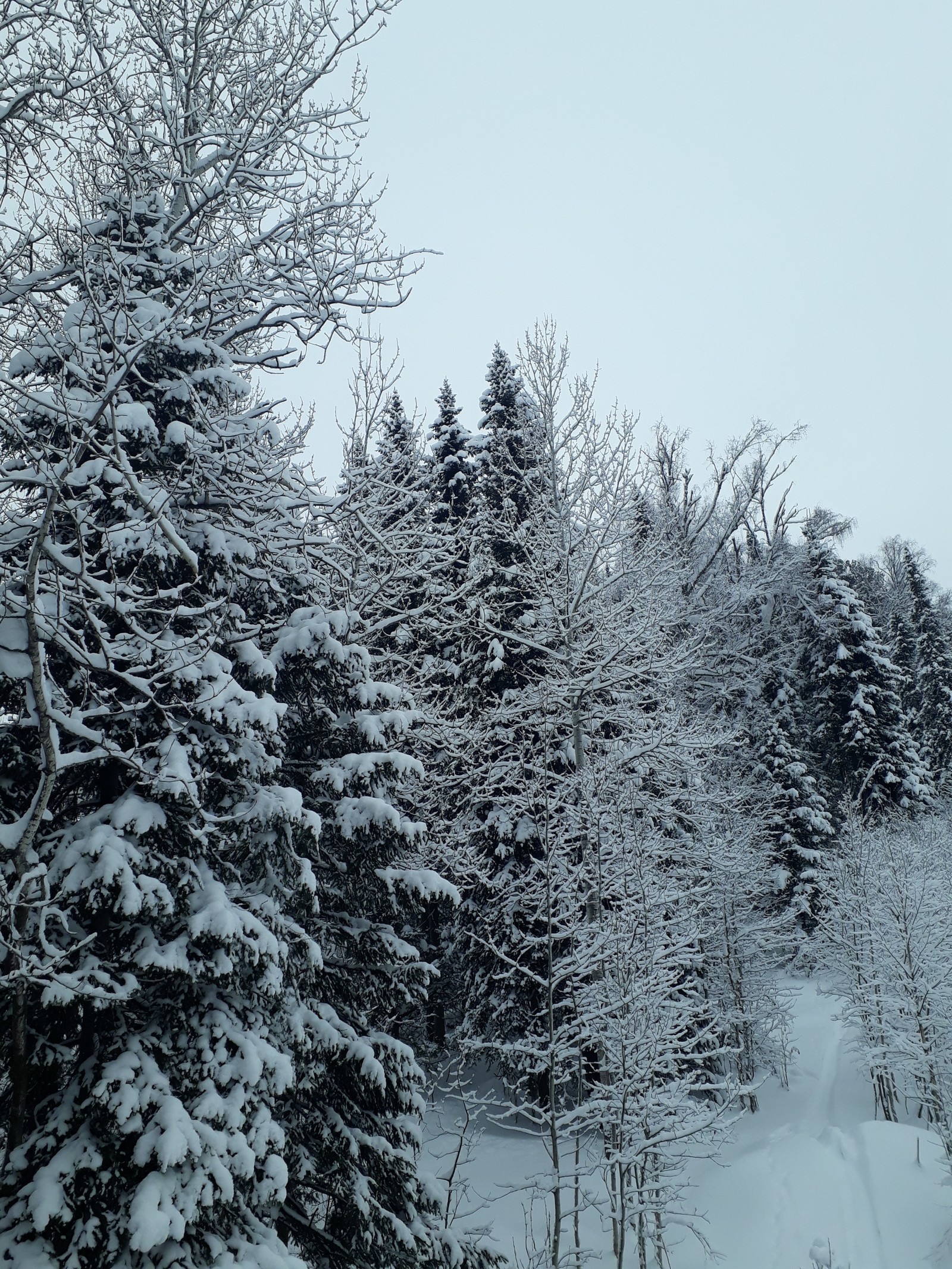 Mezhdurechensk - My, Winter, Lift, Longpost