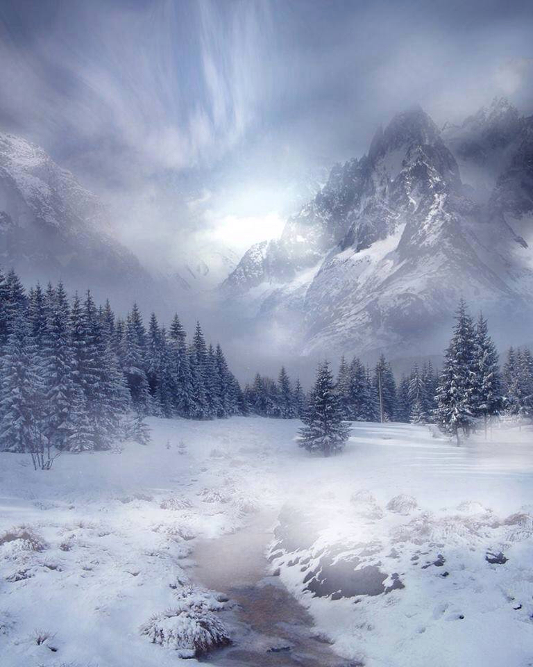 Impressively - The photo, Nature, beauty, The mountains, Snow, River, Christmas trees