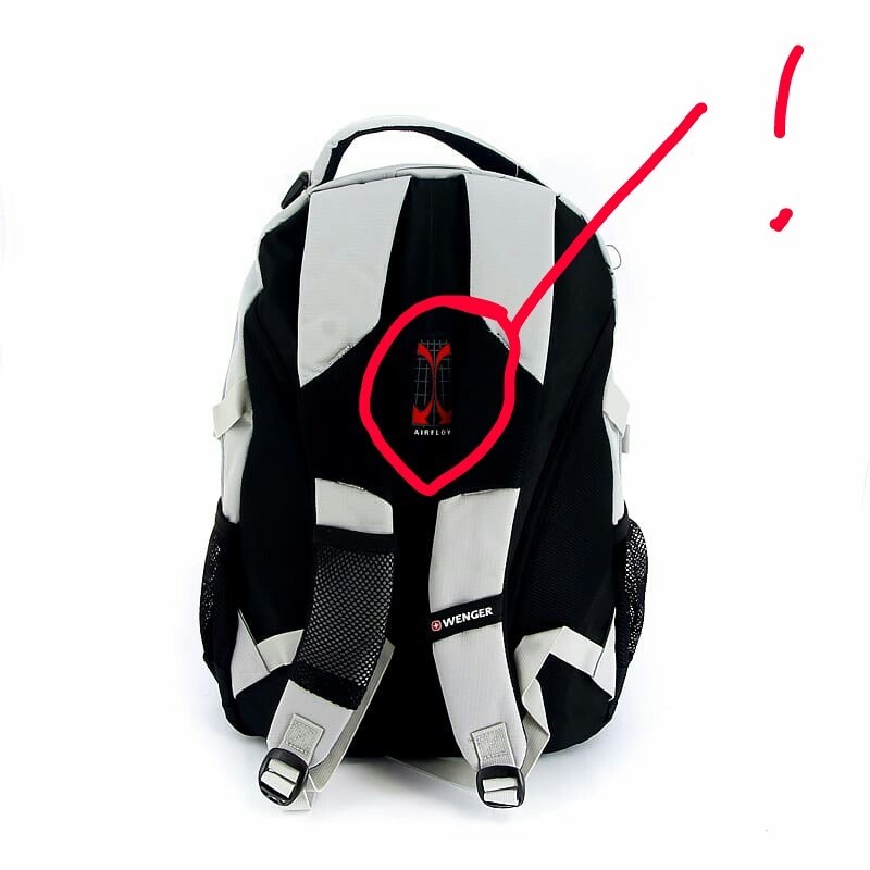 Attention: backpack Wenger! - My, Wenger, Backpack, Ambush, Longpost, 