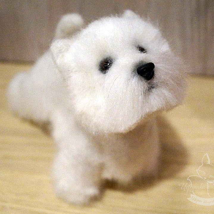 West - Highland - white - terrier. The dog is made of sheep's wool. Author: Sherstobitova Maria. - My, Dog, Dry felting, Wallow, Handmade, Longpost, West Highland White Terrier