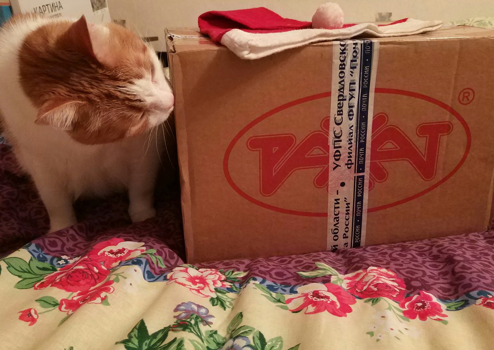 New Year's gifts from Sverdlovsk to Leningrad - My, Gift exchange, With your own hands, cat, Longpost