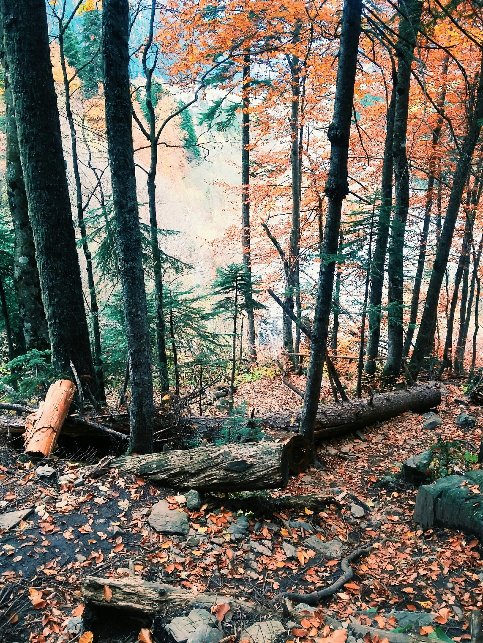 Autumn Dombai - My, Dombay, Nature, The nature of Russia, Travels, Longpost