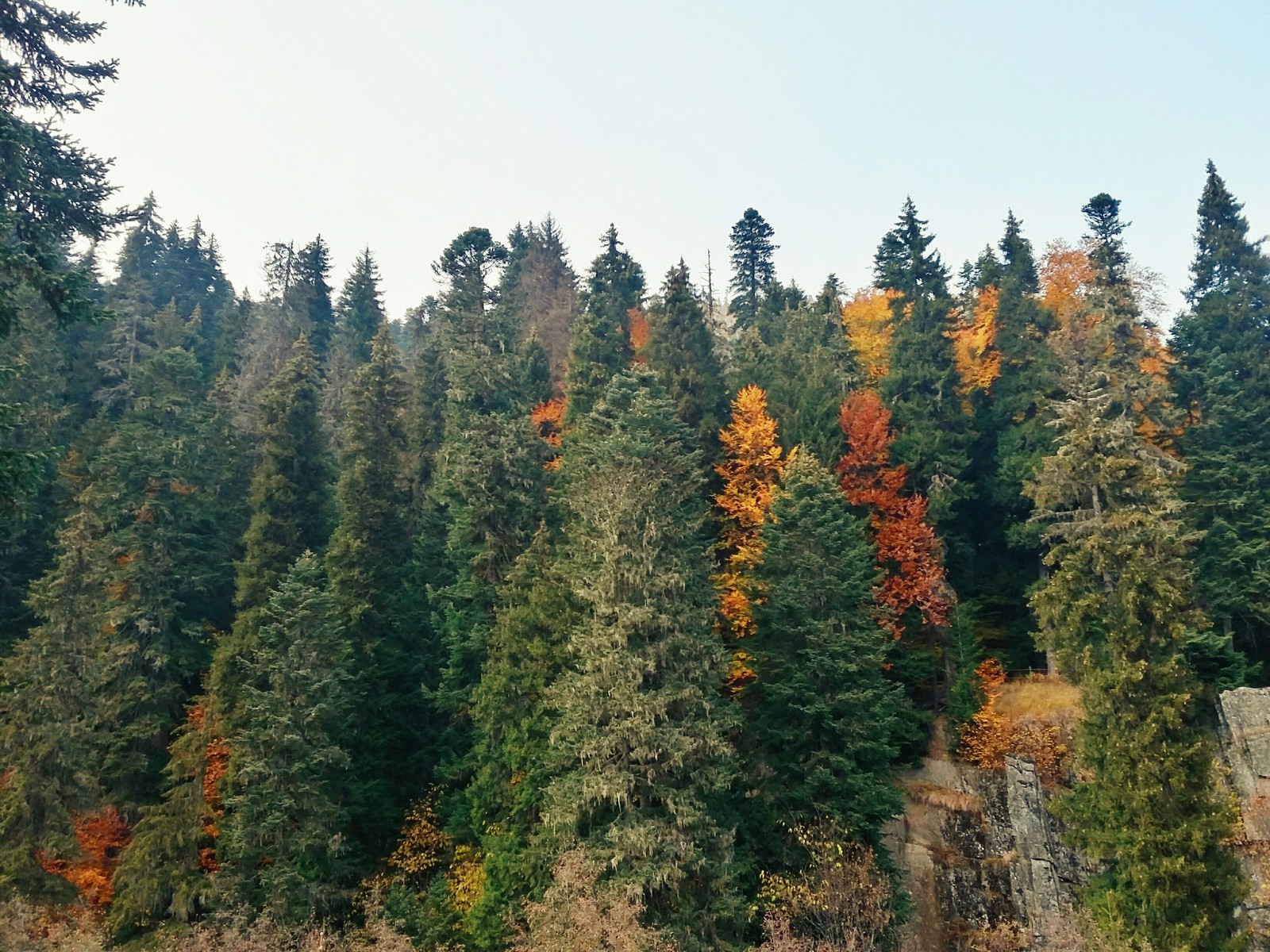 Autumn Dombai - My, Dombay, Nature, The nature of Russia, Travels, Longpost