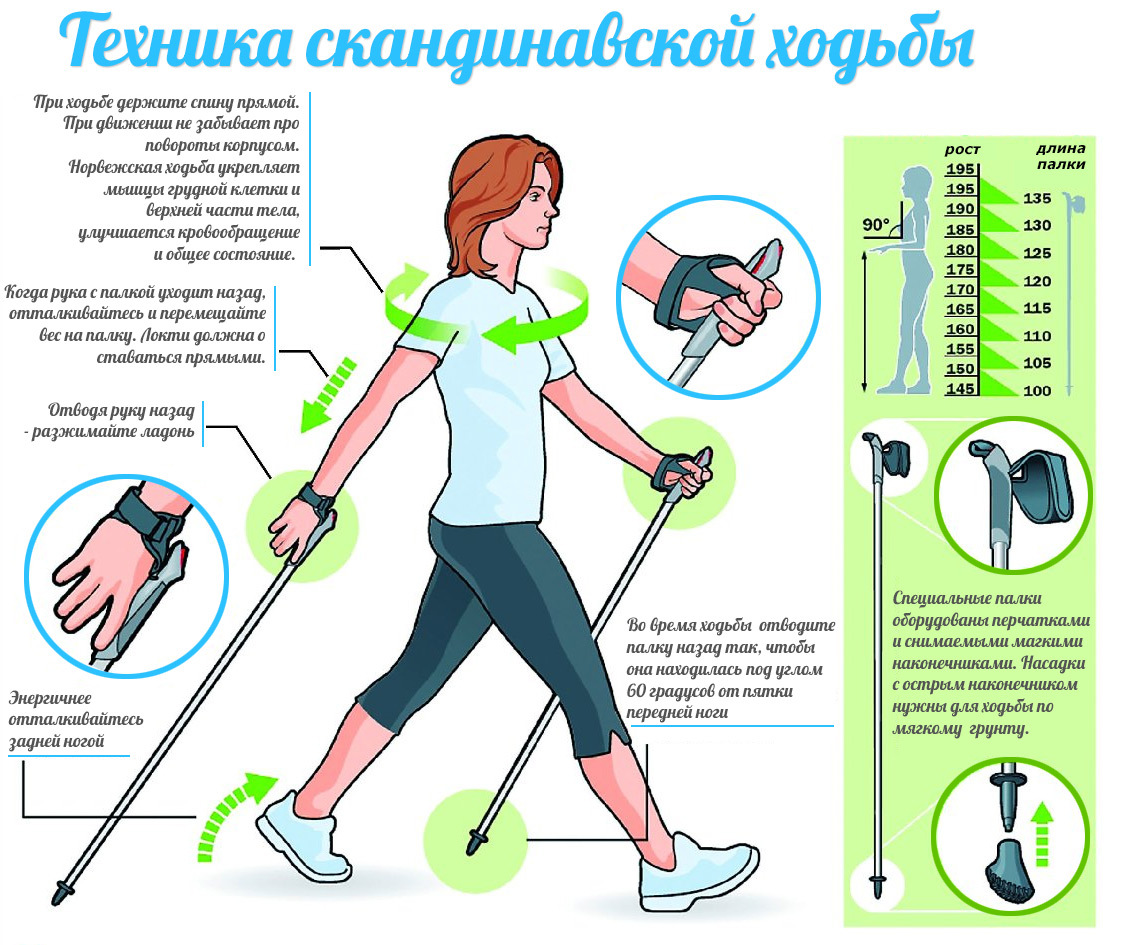 Nordic walking. - My, Healthy lifestyle, Nordic walking, Health, Yamal, Longpost