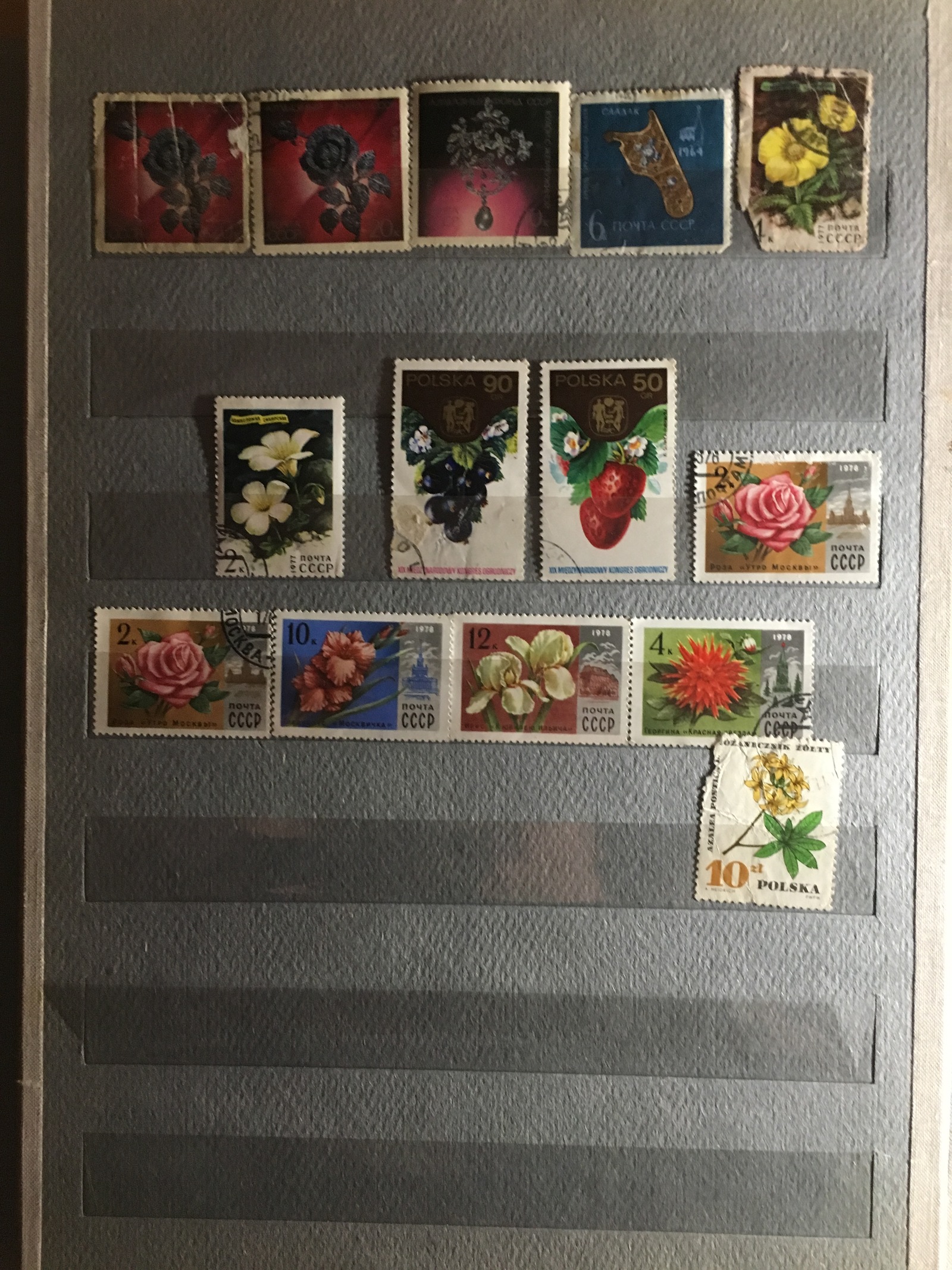 Collection of postage stamps. - My, the USSR, Philately, Collection, Stamps, The photo, Longpost