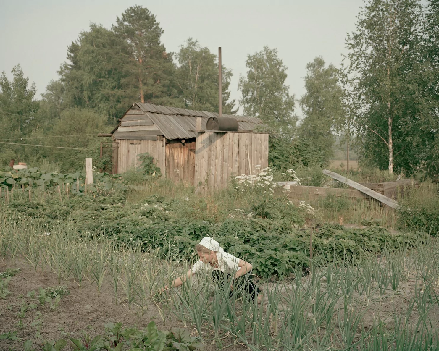 Journey to the village of Old Believers in the Krasnoyarsk Territory - A selection, Travel across Russia, Old Believers, Taiga, Interesting, Longpost