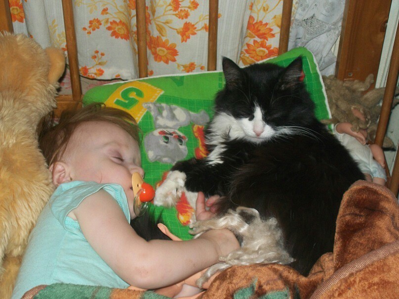 Nurse - My, cat, , The photo, Children