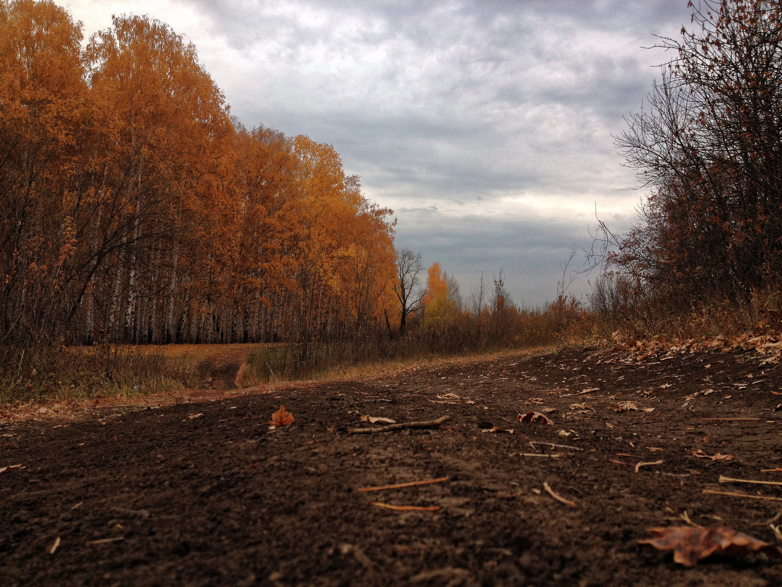 Мои фотографии с велопрогулок 2014г. - Велосипед, Formatbikes, Город Энгельс, Осень, iPhone 4s, Мобильная фотография, Зашакалено, Длиннопост