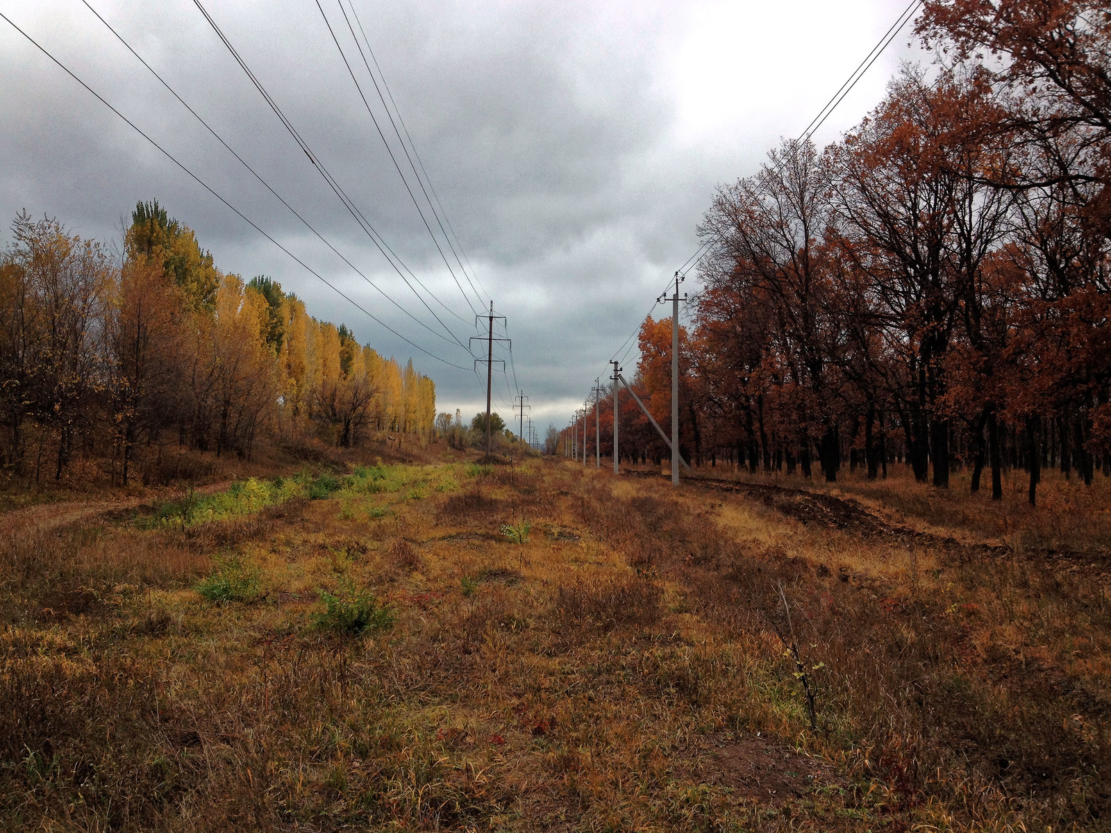 Мои фотографии с велопрогулок 2014г. - Велосипед, Formatbikes, Город Энгельс, Осень, iPhone 4s, Мобильная фотография, Зашакалено, Длиннопост