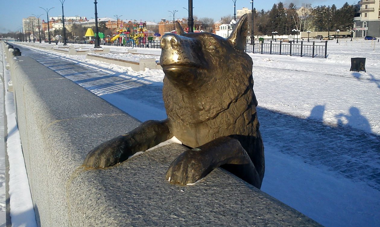 У высоких берегов Амура